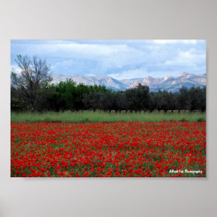 The Poppy Field Poster