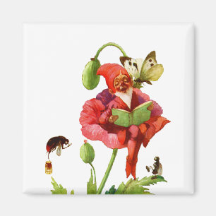 The Poppy Gnome Magnet