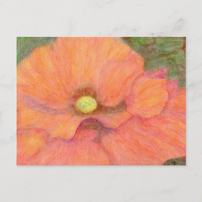 The Poppy, Postcard (Front)