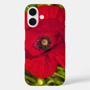 The poppy series #2 iPhone 16 case