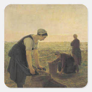 The Potato Harvest Square Sticker