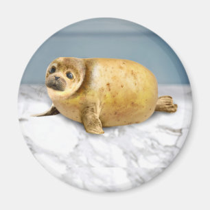The Potato Seal Magnet