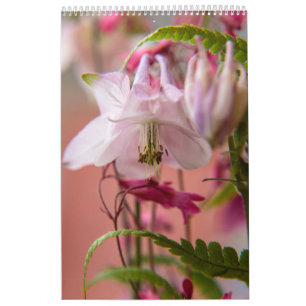 The Power of Flower Calendar