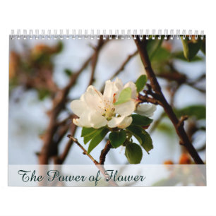 The Power of Flower Calendar