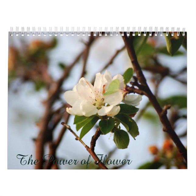 The Power of Flower Calendar (Cover)