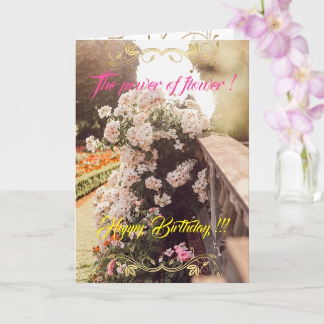 The Power of the Flower Card (Orchid)