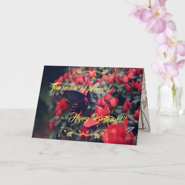 The Power of the Flower Card (Orchid)