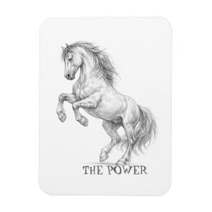 The Power of the Stallion Majestic Horse Graphic Magnet