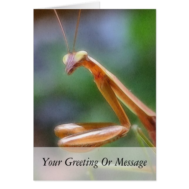 The Praying Mantis (Front)