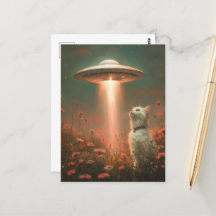 The Pretty White Cat and a UFO Postcard