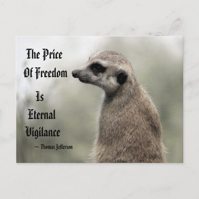 The Price Of Freedom is Eternal Vigilance - Quote Postcard (Front)