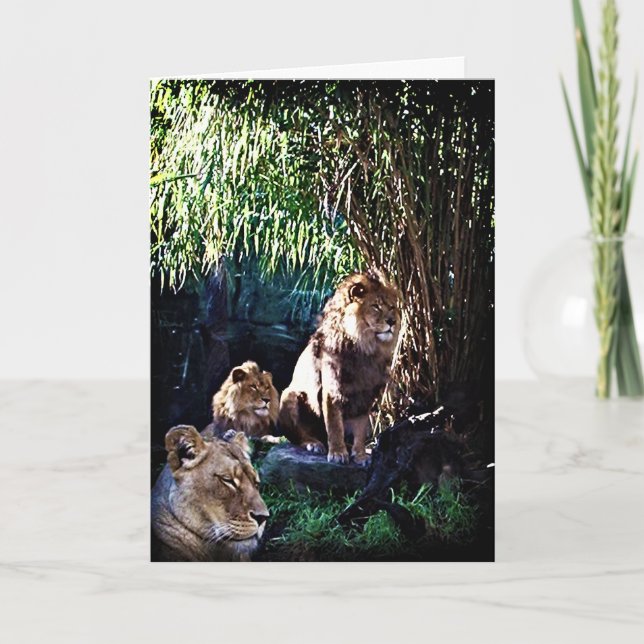 The Pride, greeting card (Front)