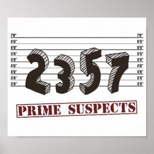 The Prime Number Suspects Poster