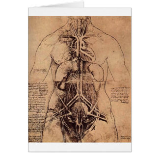 The Principle Organs and Vascular and Urino-Genita