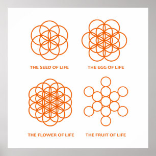 The Process of Creation Poster