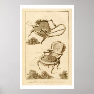 The process of upholstering a chair, from the 'Enc Poster