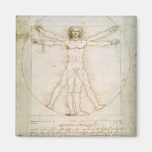 The Proportions of the human figure Magnet