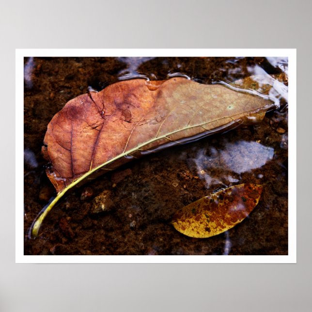 the prospector poster (Front)