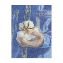 The Provider Post Card