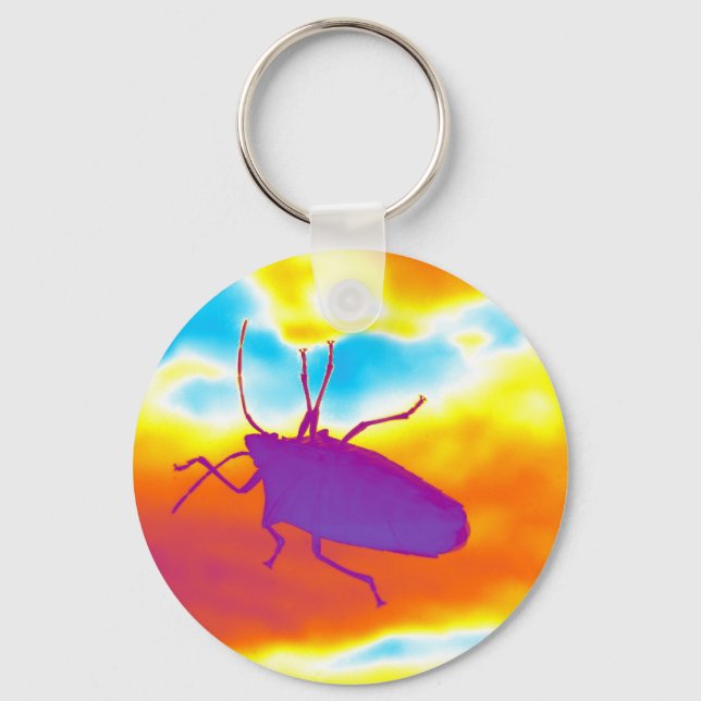 The Psychedelic Bug Key Ring (Front)