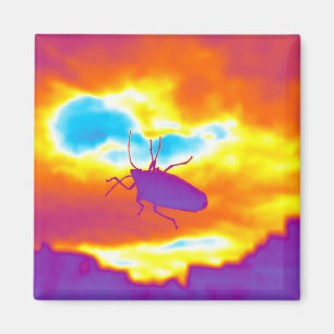 The Psychedelic Bug Magnet