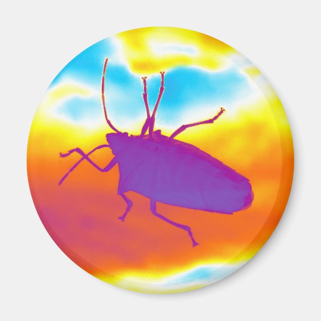 The Psychedelic Bug Magnet (Front)