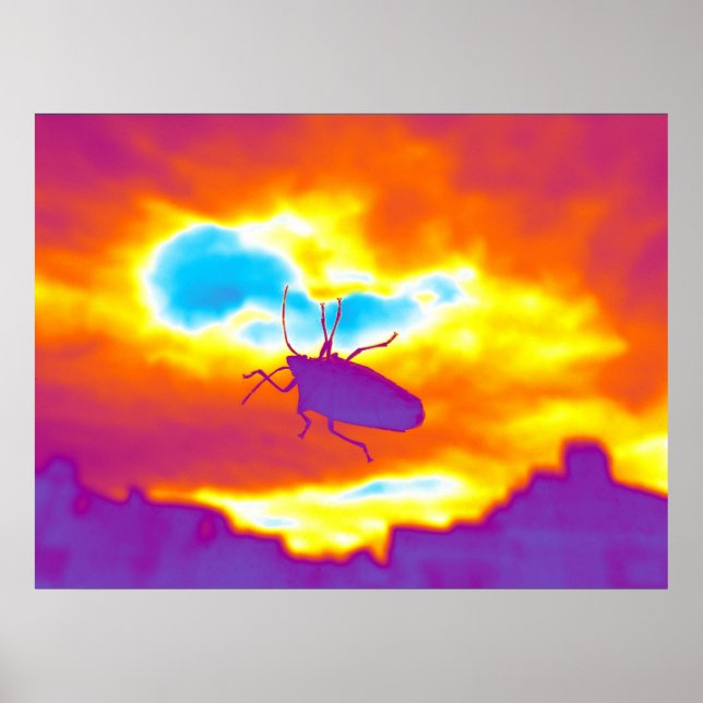 The Psychedelic Bug Poster (Front)