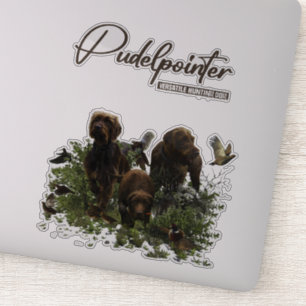 The Pudelpointer  
