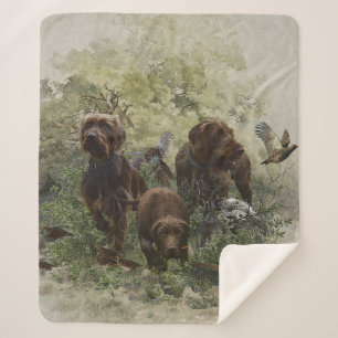 The Pudelpointer      Sherpa Blanket