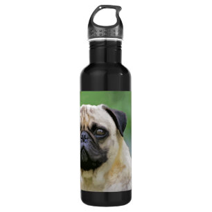 The Pug Dog 710 Ml Water Bottle