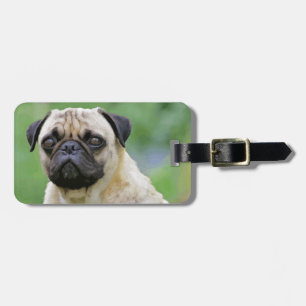 The Pug Dog Luggage Tag