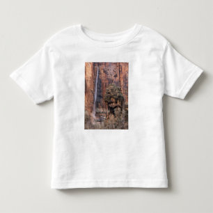 The Pulpit and ephemeral waterfall 2 Toddler T-Shirt