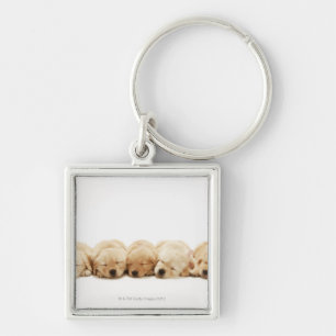 The puppies of the Golden Retriever Key Ring