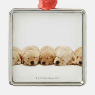The puppies of the Golden Retriever Metal Tree Decoration