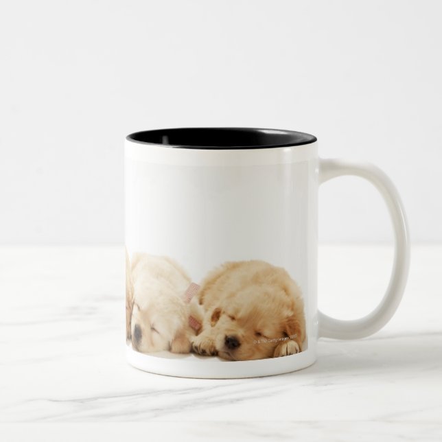 The puppies of the Golden Retriever Two-Tone Coffee Mug (Right)