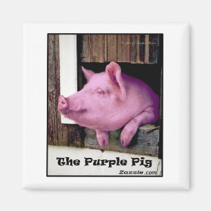The Purple Pig magnet
