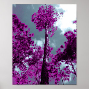 The Purple Tree Poster