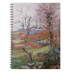 The Puy Barion at Crozant, Brittany (oil on canvas Notebook