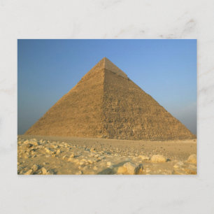 The Pyramids of Giza, which are alomost 5000 Postcard
