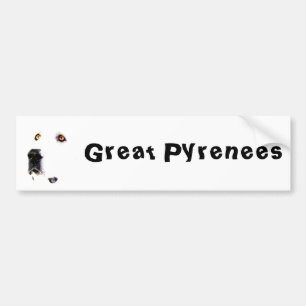 The Pyrenees Stare Bumper Sticker 2