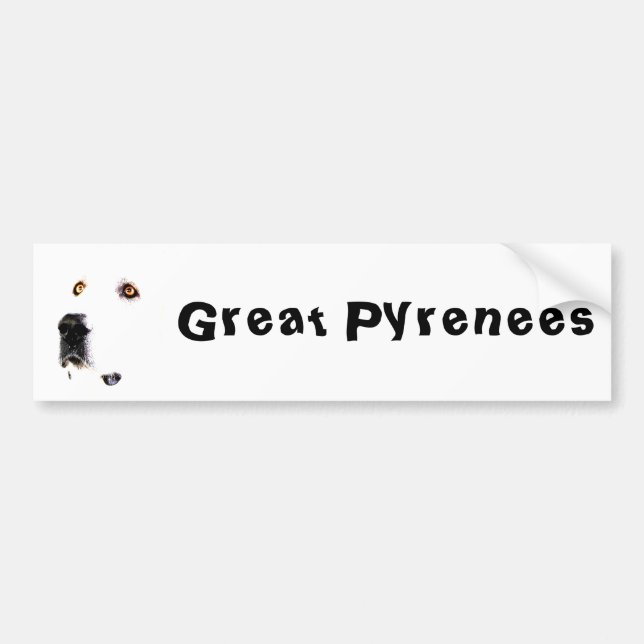 The Pyrenees Stare Bumper Sticker 2 (Front)