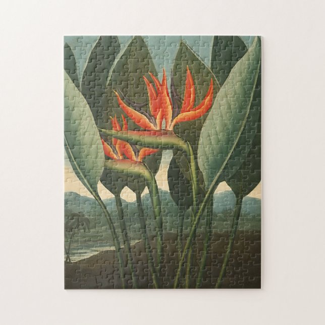 'The Queen (Bird of Paradise)' Jigsaw Puzzle (Vertical)