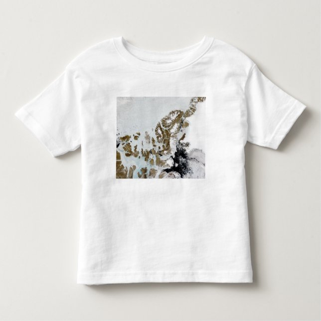 The Queen Elizabeth Islands 2 Toddler T-Shirt (Front)