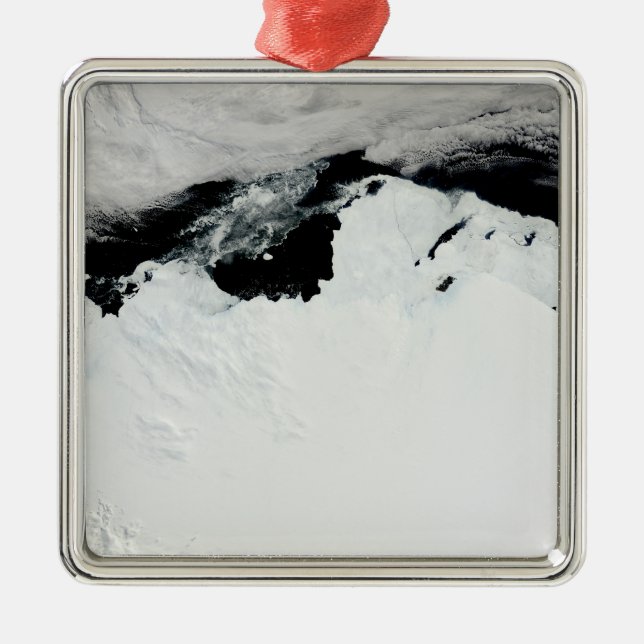 The Queen Mary Coast of Antarctica Metal Tree Decoration (Front)