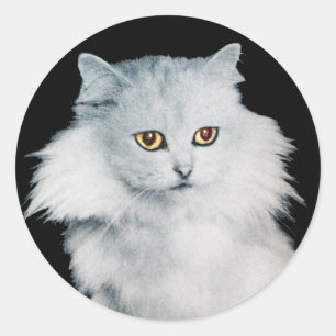 THE QUEEN OF WHITE CATS CLASSIC ROUND STICKER