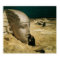 The Questioner of the Sphinx