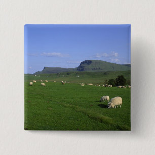 The Quiraing Mountains, Isle of Skye, Highlands, 15 Cm Square Badge