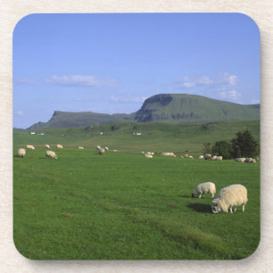 The Quiraing Mountains, Isle of Skye, Highlands, Coaster