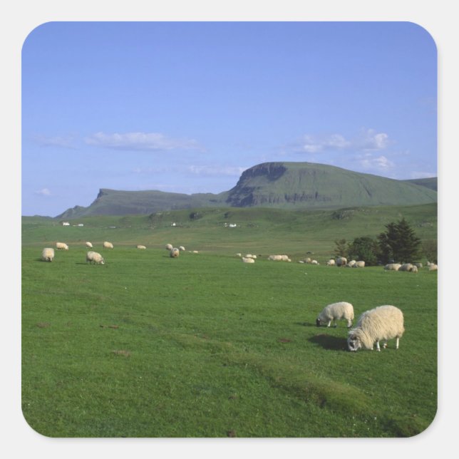 The Quiraing Mountains, Isle of Skye, Highlands, Square Sticker (Front)