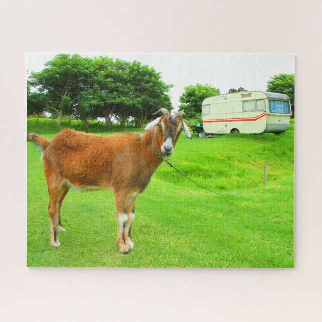 THE QUIRKY GOAT 16x20 INCH Jigsaw Puzzle (Horizontal)